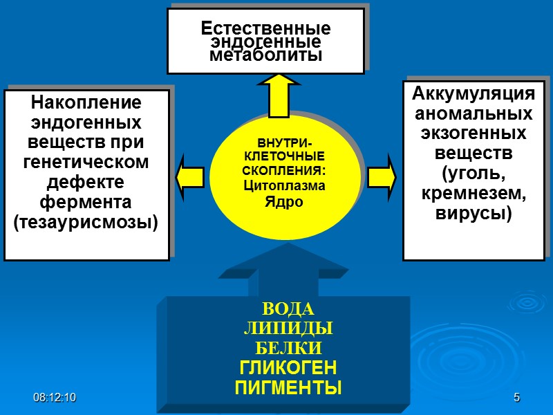 ВНУТРИ- КЛЕТОЧНЫЕ СКОПЛЕНИЯ:   Цитоплазма Ядро  Естественные эндогенные  метаболиты Накопление эндогенных